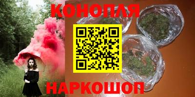 сатива Бузулук