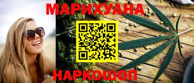 сатива Бузулук