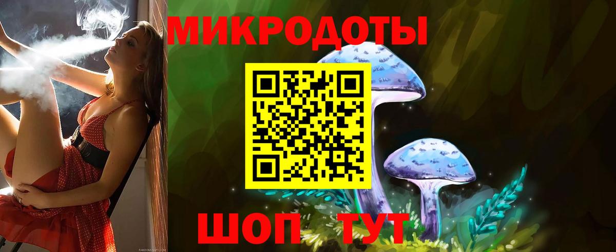 Псилоцибиновые грибы GOLDEN TEACHER Канск